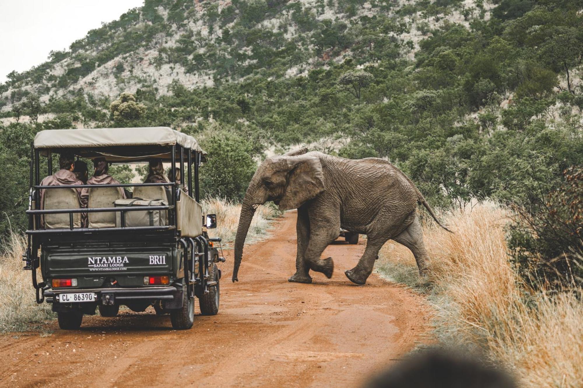 Ntamba Safari Lodge Matlhagame Exteriér fotografie